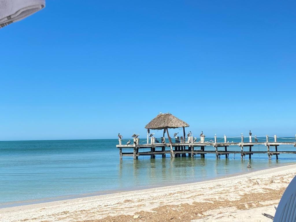 Two Bedroom Beachfront Villa Celestun Esterno foto