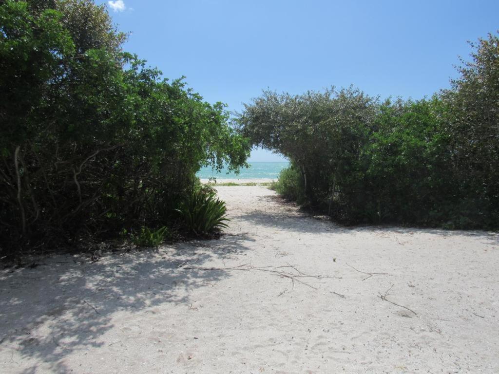 Two Bedroom Beachfront Villa Celestun Esterno foto